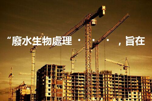 “廢水生物處理，旨在凈化水源，守護(hù)碧水藍(lán)天”